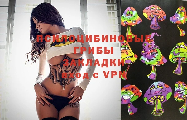 гидропоника Балабаново