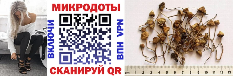 Галлюциногенные грибы мухоморы  купить  цена  нарко площадка официальный сайт  Белёв 